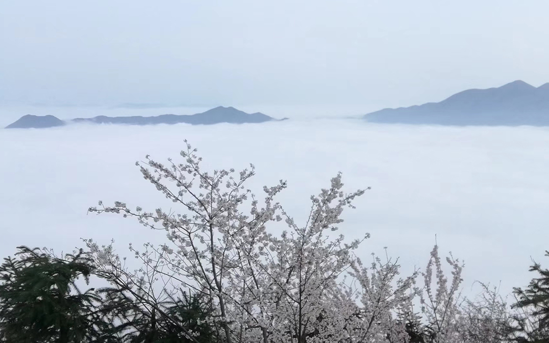 不朽情缘_官方网站