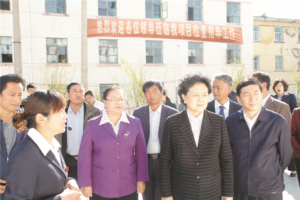 4中央政治局委员，，，，，，，，国务院副总理、党组成员刘延东视察湖北不朽情缘集团青海项目部 